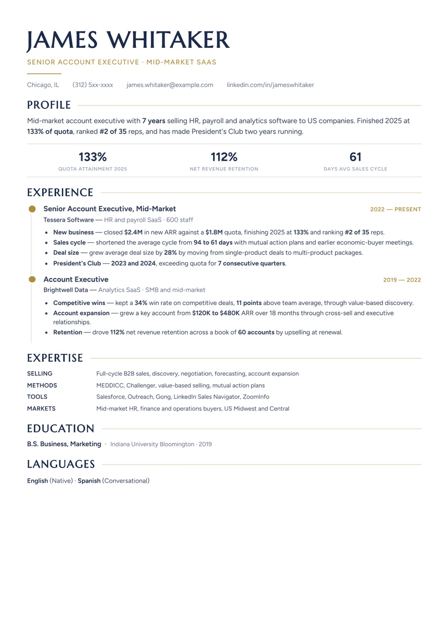 Free Sales Professional Resume Template & Examples preview