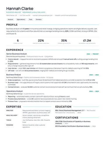 Business Analyst resume example