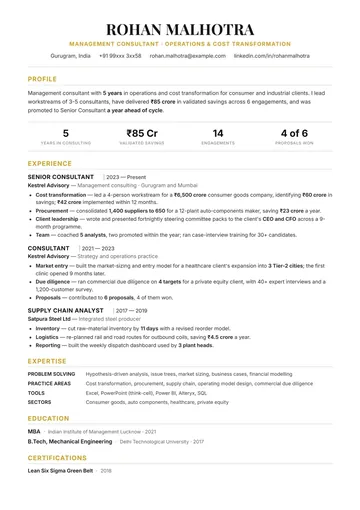 Consultant resume example