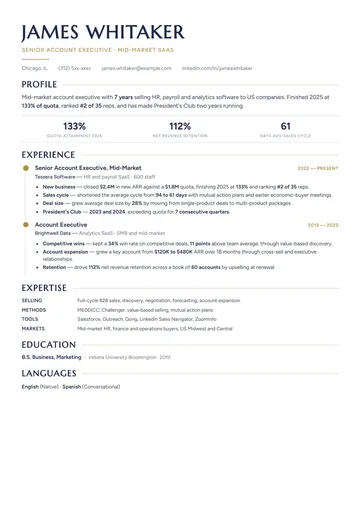 Sales resume example