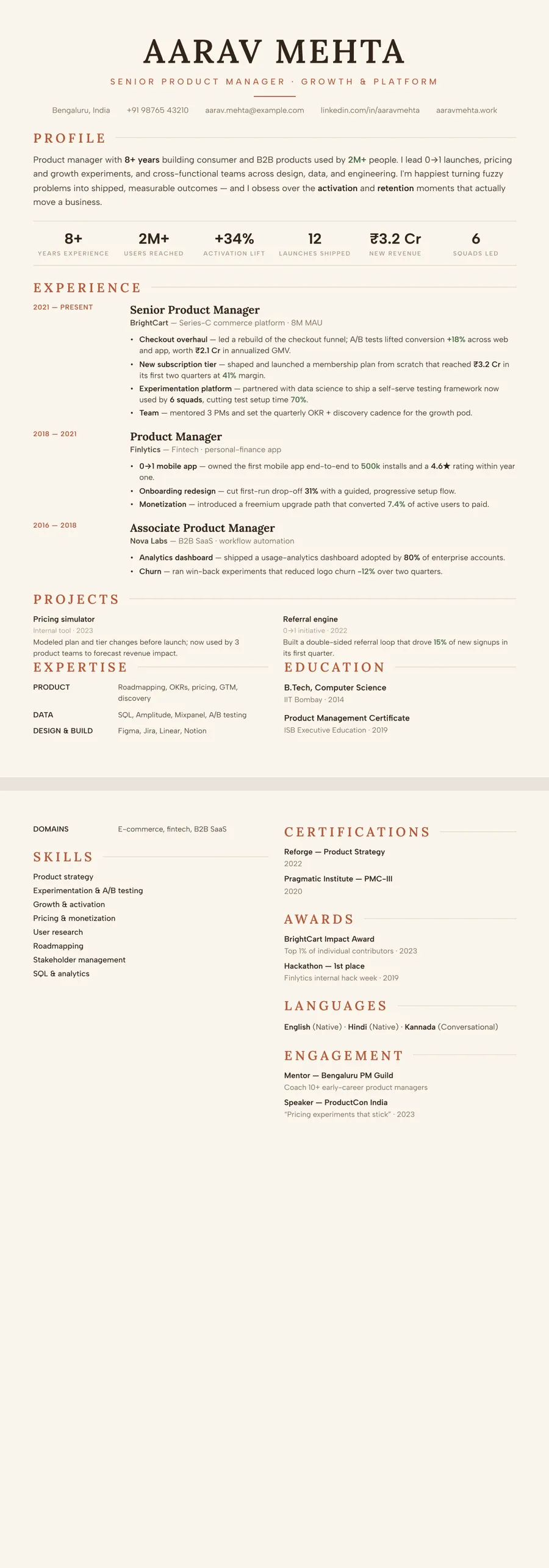 Dune Warm Modern Resume Template preview