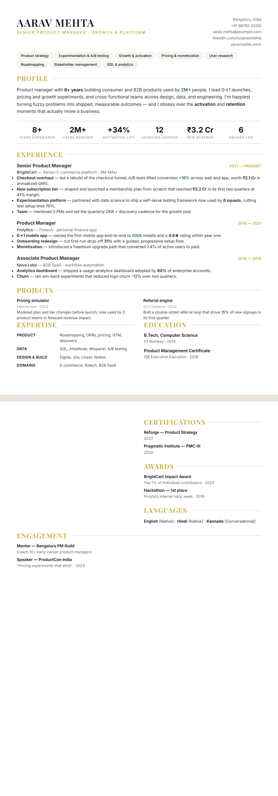 Noir Minimal Resume Template preview