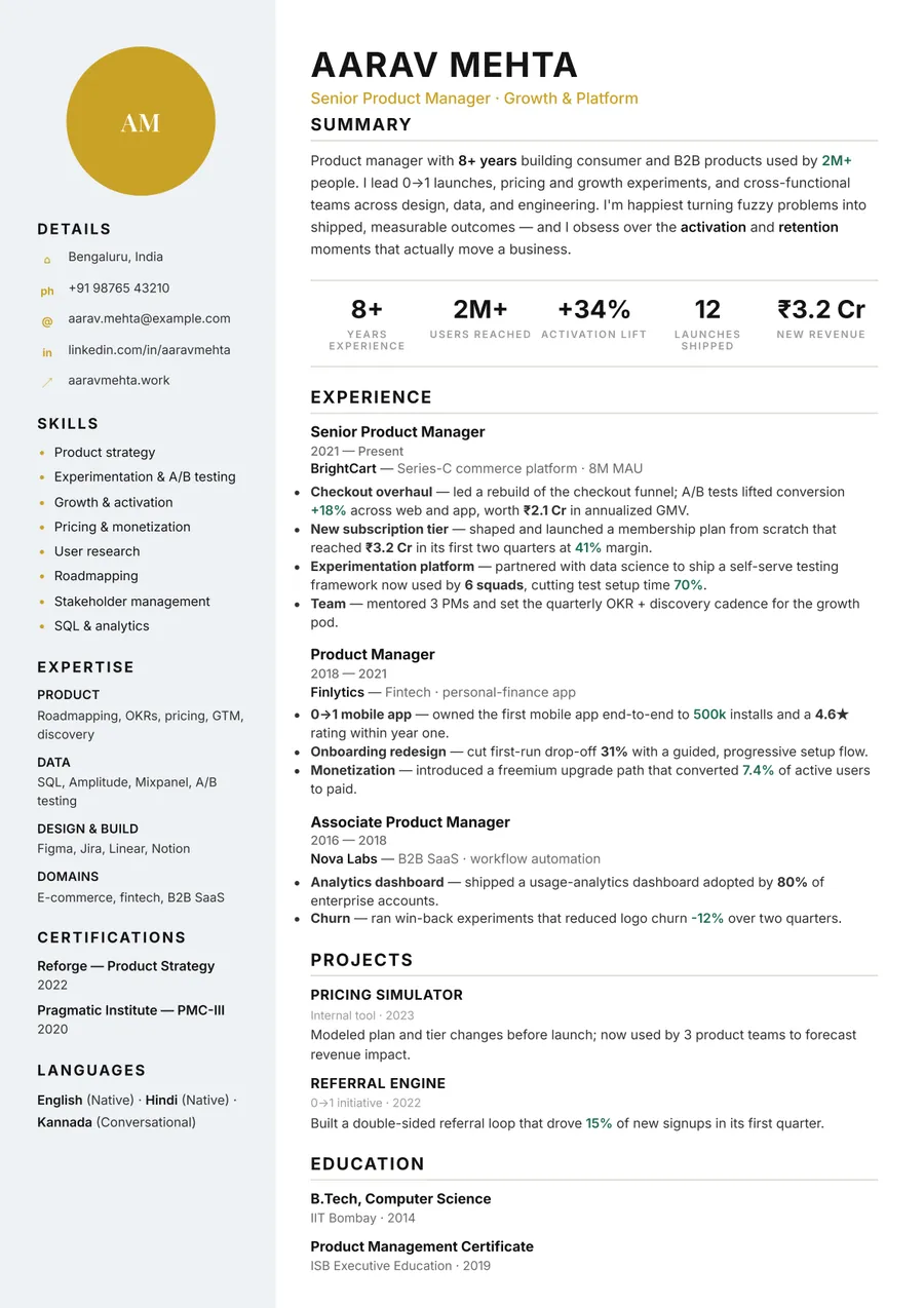 Noir executive Portrait resume template — Sharp & minimal