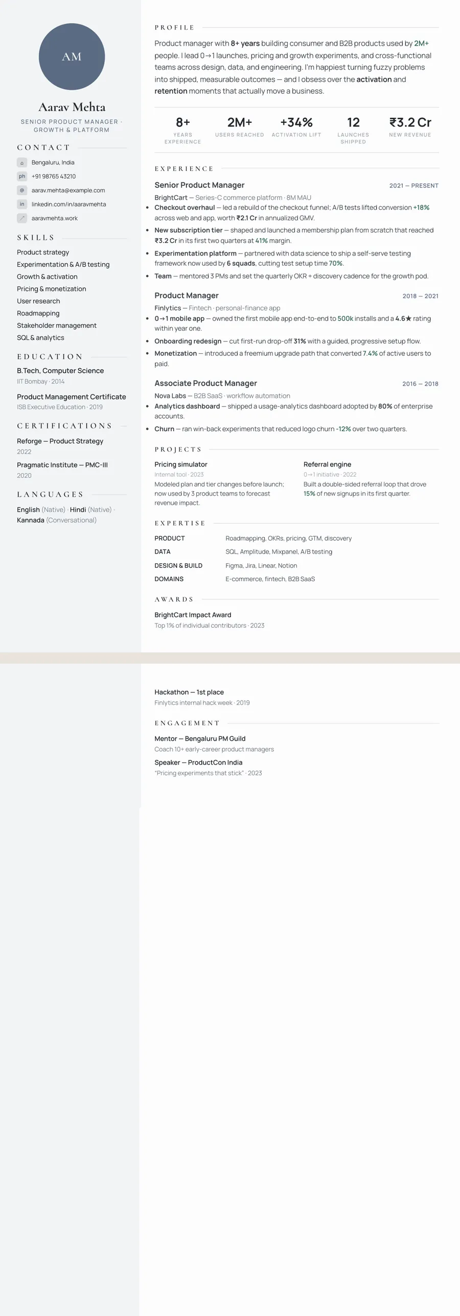Platinum Executive Resume Template preview