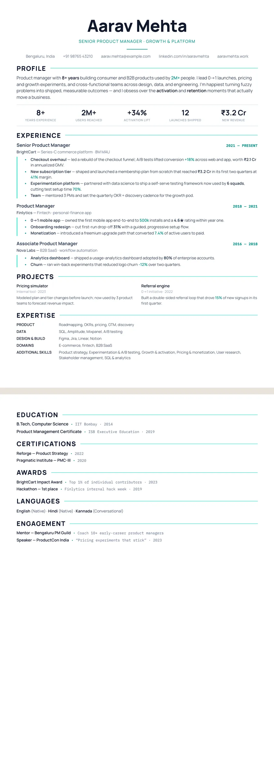 Free Developer Resume Template preview